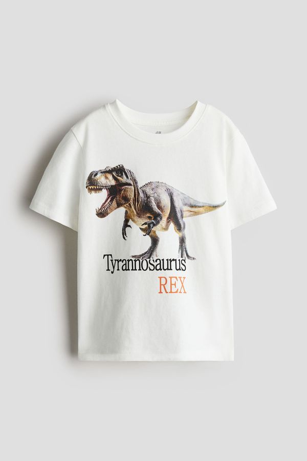 Camiseta estampada