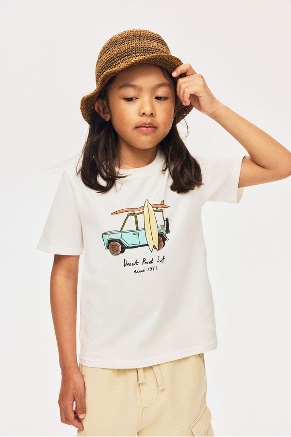 Camiseta estampada