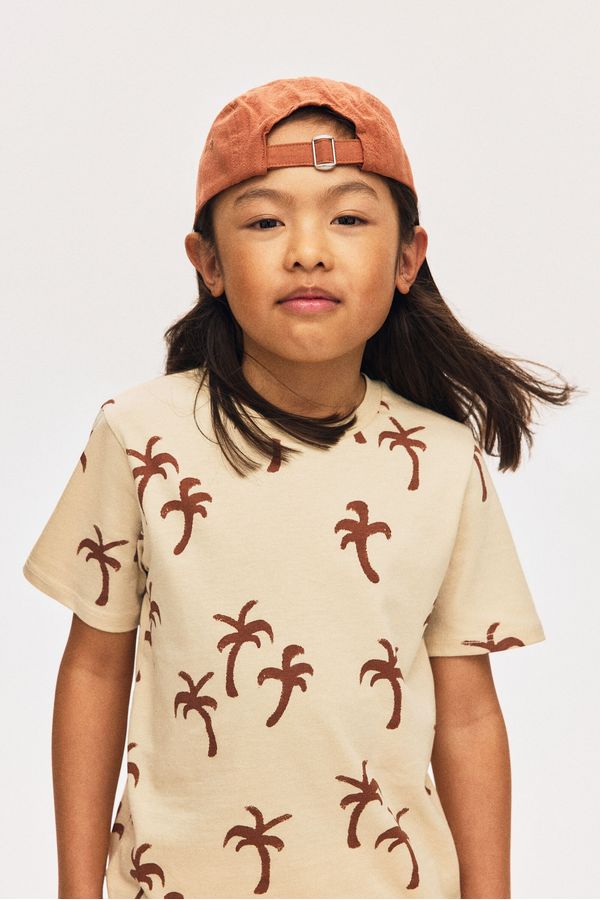 Camiseta estampada
