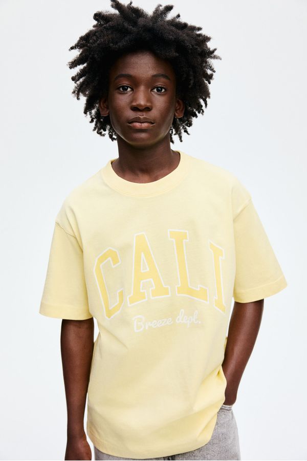 Camiseta en algodón con estampado