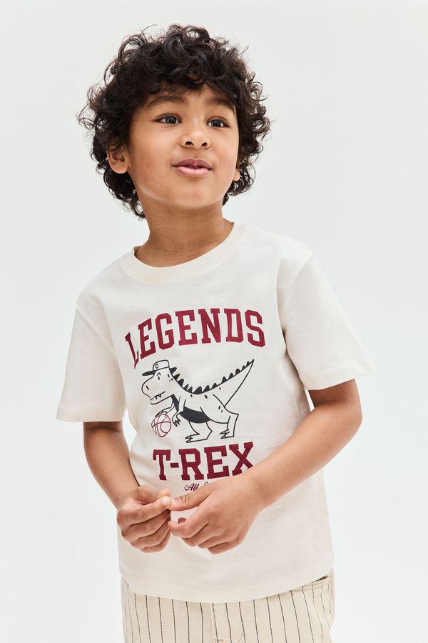 Camiseta de algodón con estampado