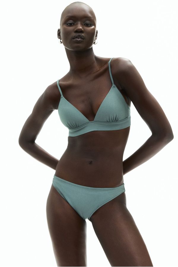 Panti de bikini