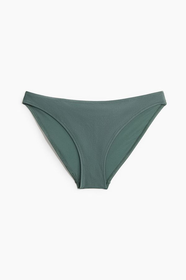 Panti de bikini