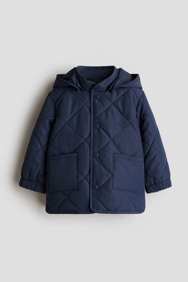 Chaqueta acolchada